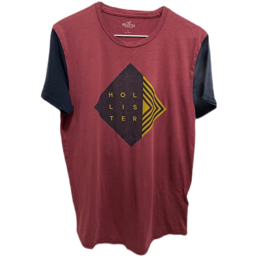 0169 Hollister Graphic Loose Fit  Short Sleeve Tee